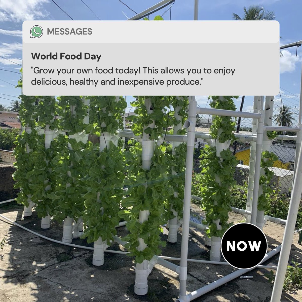 timeisnowtt's tweet photo. Happy #WorldFoodDay 🥬✨ https://t.co/n3WHU1QMVh