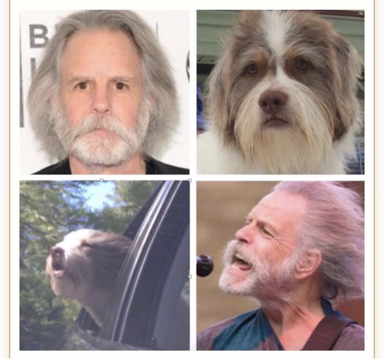  Don t mean to invade your space (no pun intended) but I want to wish Bob Weir a Happy Birthday today. 