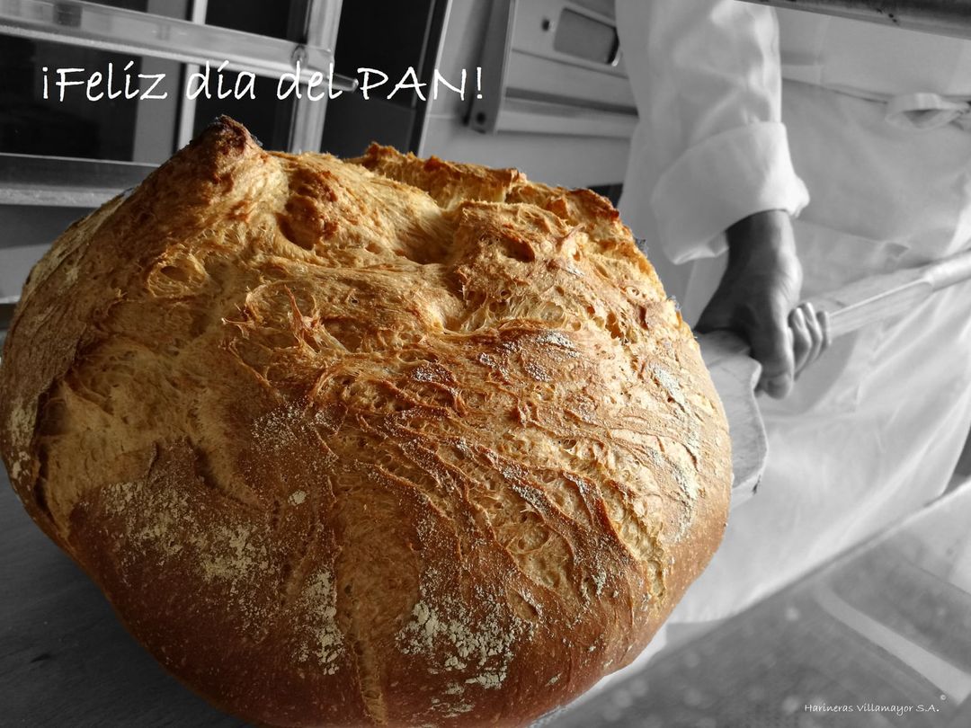 El 16 de octubre es el Día Mundial🌏 de la #Alimentación 🍴 y del #Pan! 🥖🍞 Harineras Villamayor os desea un ¡𝓕𝓮𝓵𝓲𝔃 𝓭í𝓪 𝓭𝓮𝓵 𝓟𝓪𝓷!  ¿Os animáis a compartir con nosotros la foto de vuestro pan favorito? #DiaMundialDelPan #DiaMundialDeLaAlimentación #PanArtesanal #bread