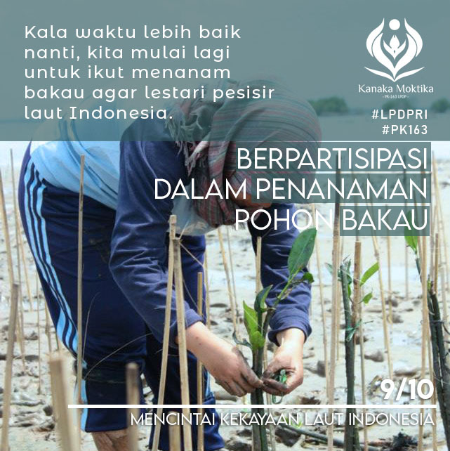 oncheplok's tweet photo. [BAKAU, BUAT AKU DAN KAU]-Dalam tiga dekade terakhir, Indonesia kehilangan 40% mangrove. Artinya, Indonesia memiliki kecepatan kerusakan mangrove terbesar di dunia 😱 @LPDP_RI @KanakaMoktika 
#PK163 #KanakaMoktika #DiriUntukNegeri #SDMUnggulIndonesiaMaju #AkuPastiMengabdi https://t.co/4dDqFJiLuJ