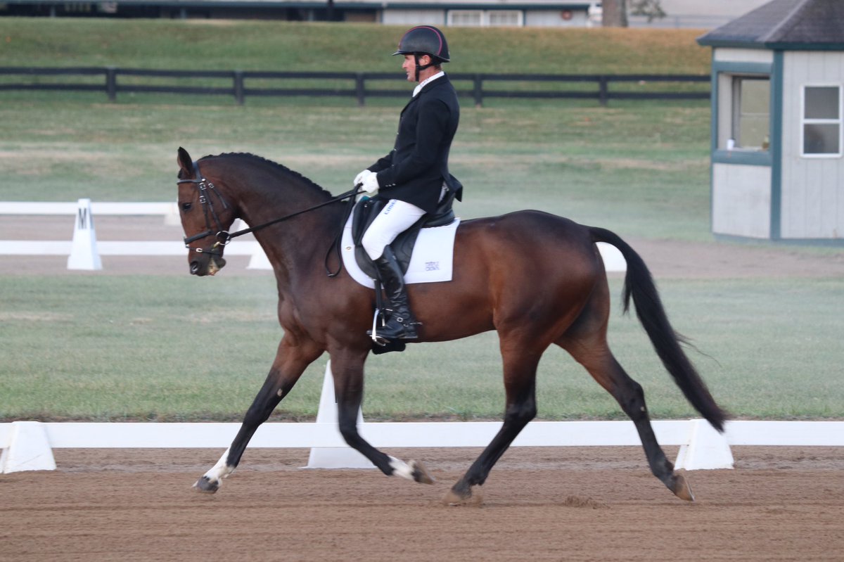 Delighted to have Caroline Moran’s Carlchen back in action <a href="/KyHorsePark/">Kentucky Horse Park</a> for the <a href="/Hagyard/">Hagyard</a> Midsouth Three Day. He led the Open Intermediate dressage and show jumped a beautiful double clear 🤩#therealdeal
