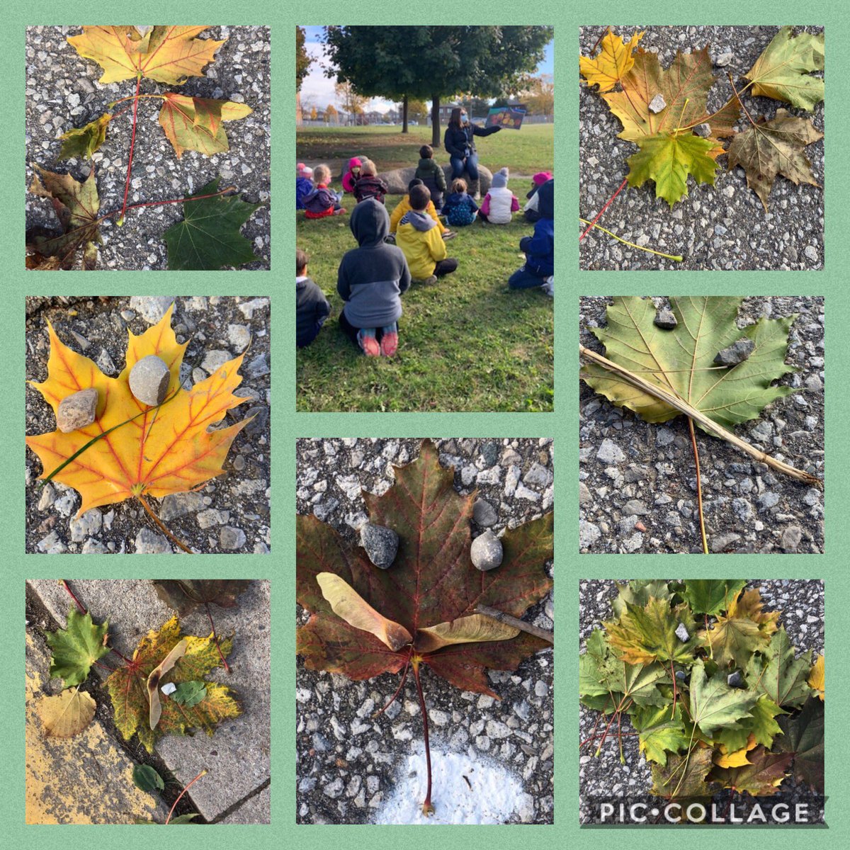 KCookFDK's tweet photo. Today we read the story, ‘Leaf Man’ and then the students created their own leaf man creations. @FldcrestFalcons @SCDSBey @SCDSBLiteracy https://t.co/obT8PhRJYw