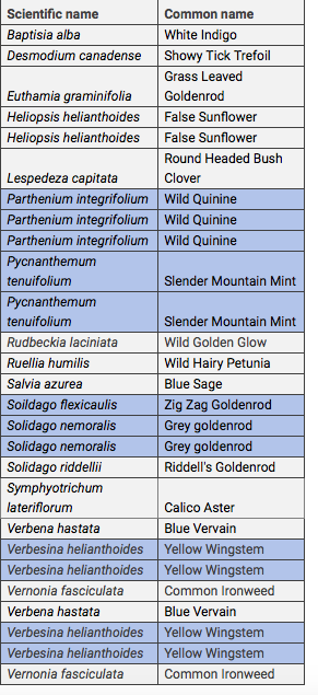 PureAirNatives's tweet photo. Check out our Native Plant Liquidation Sale! 🌱
Below is a list of species on sale for liquidation. Give us a call at (636) 357-6433 to schedule your time to view our stock at our Wentzville location: 2101 Ebert Lane, Wentzville, MO 63385. Delivery to STL can also be available. https://t.co/969mG8BG1A