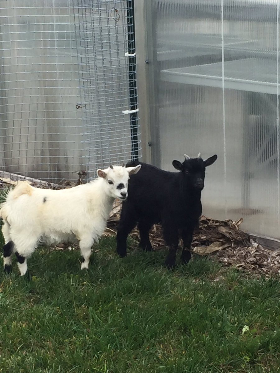 Heather C. Venne tweet media