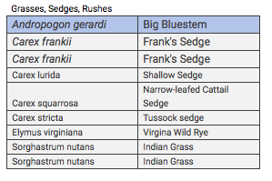 PureAirNatives's tweet photo. Check out our Native Plant Liquidation Sale! 🌱
Below is a list of species on sale for liquidation. Give us a call at (636) 357-6433 to schedule your time to view our stock at our Wentzville location: 2101 Ebert Lane, Wentzville, MO 63385. Delivery to STL can also be available. https://t.co/969mG8BG1A