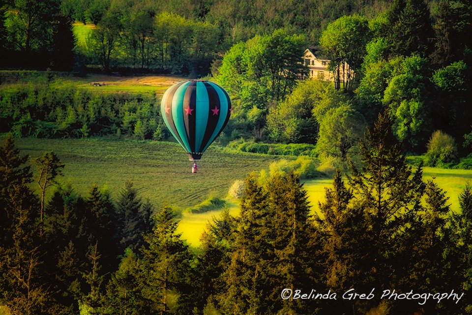 Belinda Greb tweet media