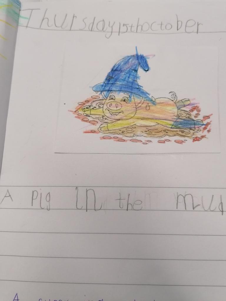 Rosewell Primary tweet media