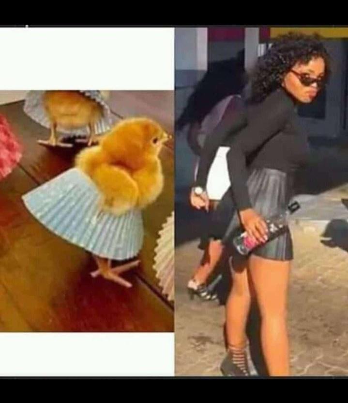 nata_ngwe's tweet image. #johnvuligatechallenge