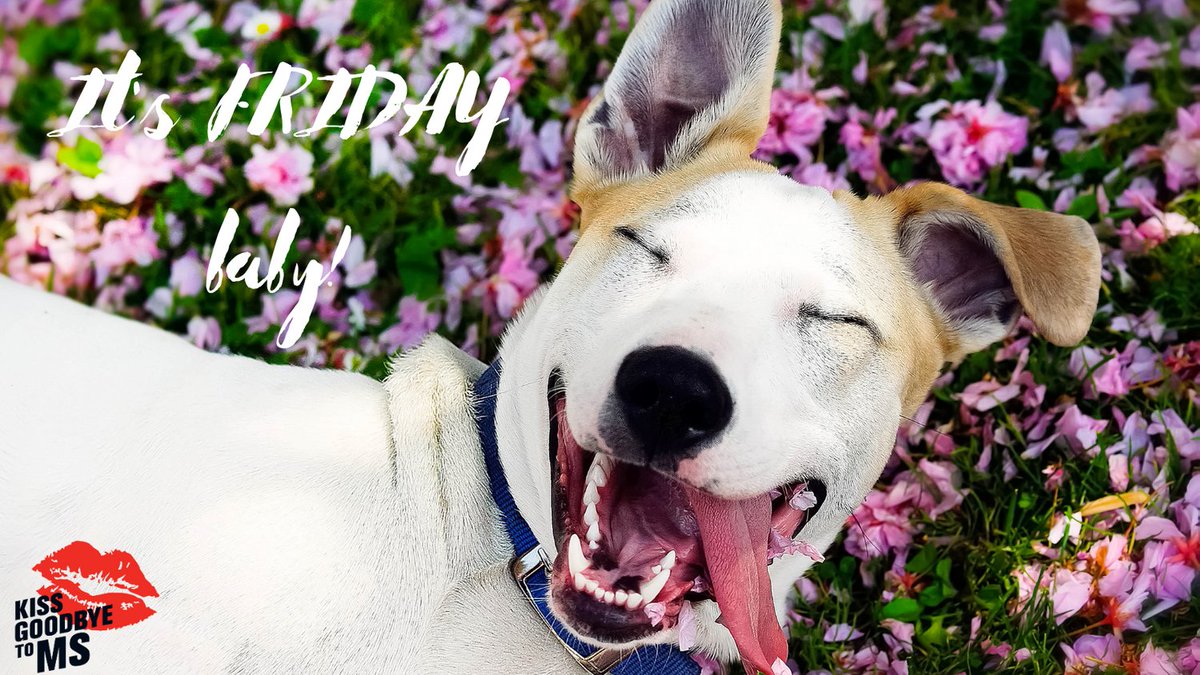 Happy FRIDAY!😍🥳

Another week down, another step closer to ending MS for good, thank YOU for helping us #KissGoodbyetoMS this week! ♥️♥️♥️

Treat yourself this Friday, you deserve it💕💕💕