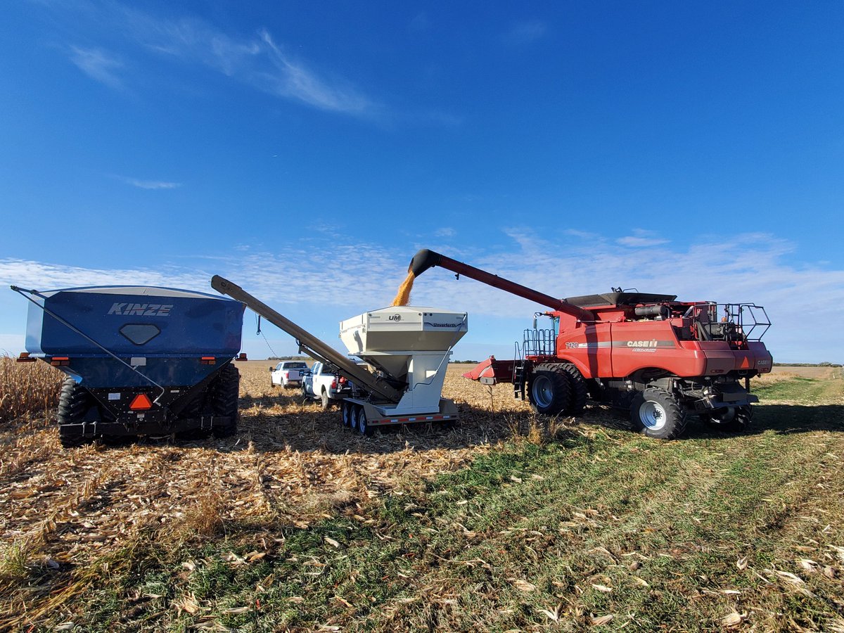 Greg Carpenter (@cowboycubby) on Twitter photo P1359AM a Dryland Plot Winner at Beatrice NE. Performance Rain or Shine, New Hybrids that provide growers too tier genetics, traits, and productivity. See the Leaders! <a href="/PioneerSeeds/">Pioneer Seeds U.S.</a> <a href="/MikeHoltmeier/">Mike Holtmeier</a> <a href="/corteva/">Corteva Agriscience</a> P1359AM a Dryland Plot Winner at Beatrice NE. Performance Rain or Shine, New Hybrids that provide growers too tier genetics, traits, and productivity. See the Leaders! <a href="/PioneerSeeds/">Pioneer Seeds U.S.</a> <a href="/MikeHoltmeier/">Mike Holtmeier</a> <a href="/corteva/">Corteva Agriscience</a>