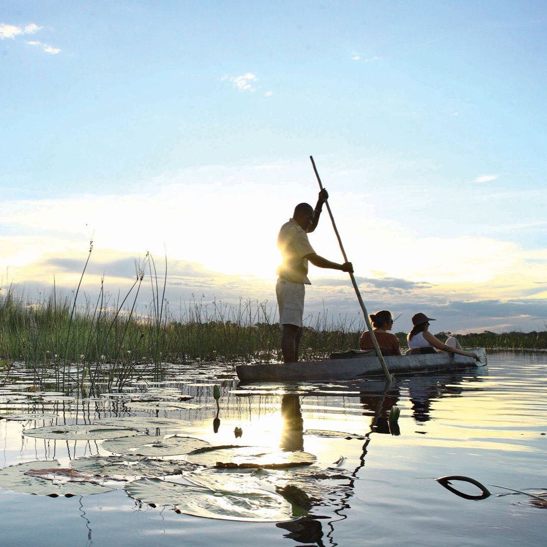 africatvl's tweet photo. Wish We Were Here: This Friday we'd love to be enjoying a mokoro safari in Botswana's Okavango Delta https://t.co/pV990Gb9XU #botswana #okavangodelta #mokorosafari @BotswanaTourism https://t.co/KGEFEySe6Z