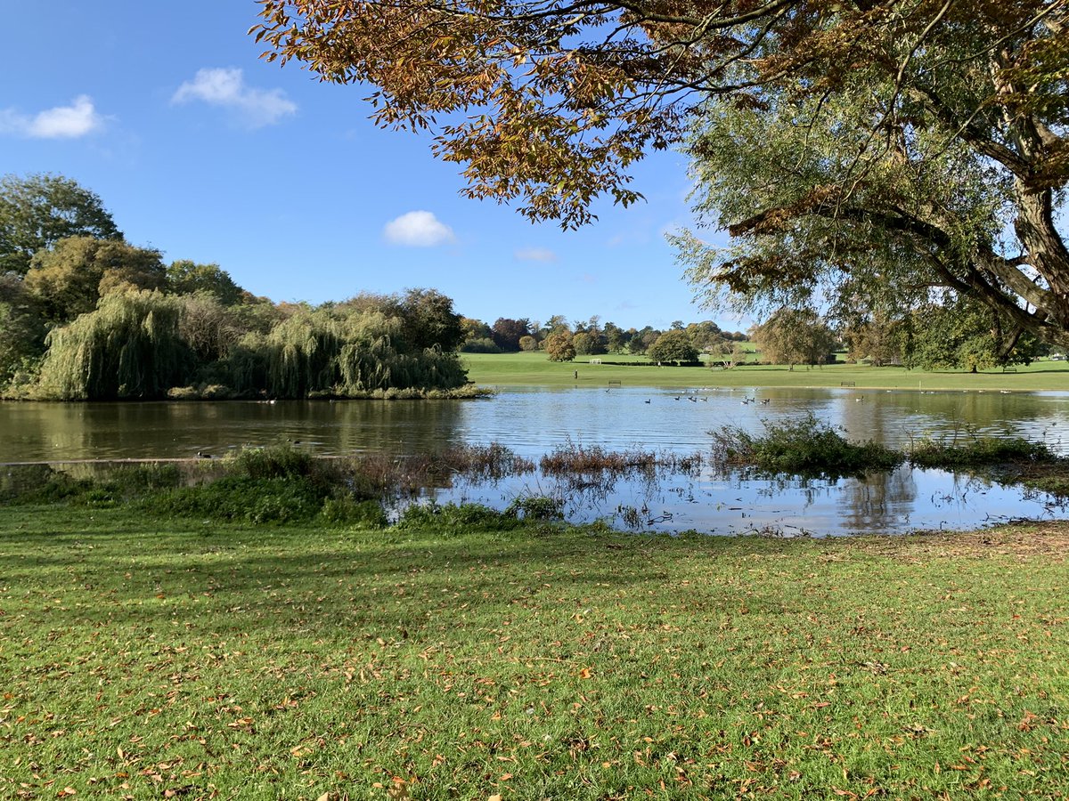 50Albans's tweet photo. Autumn in the park https://t.co/jlMQj1Not6