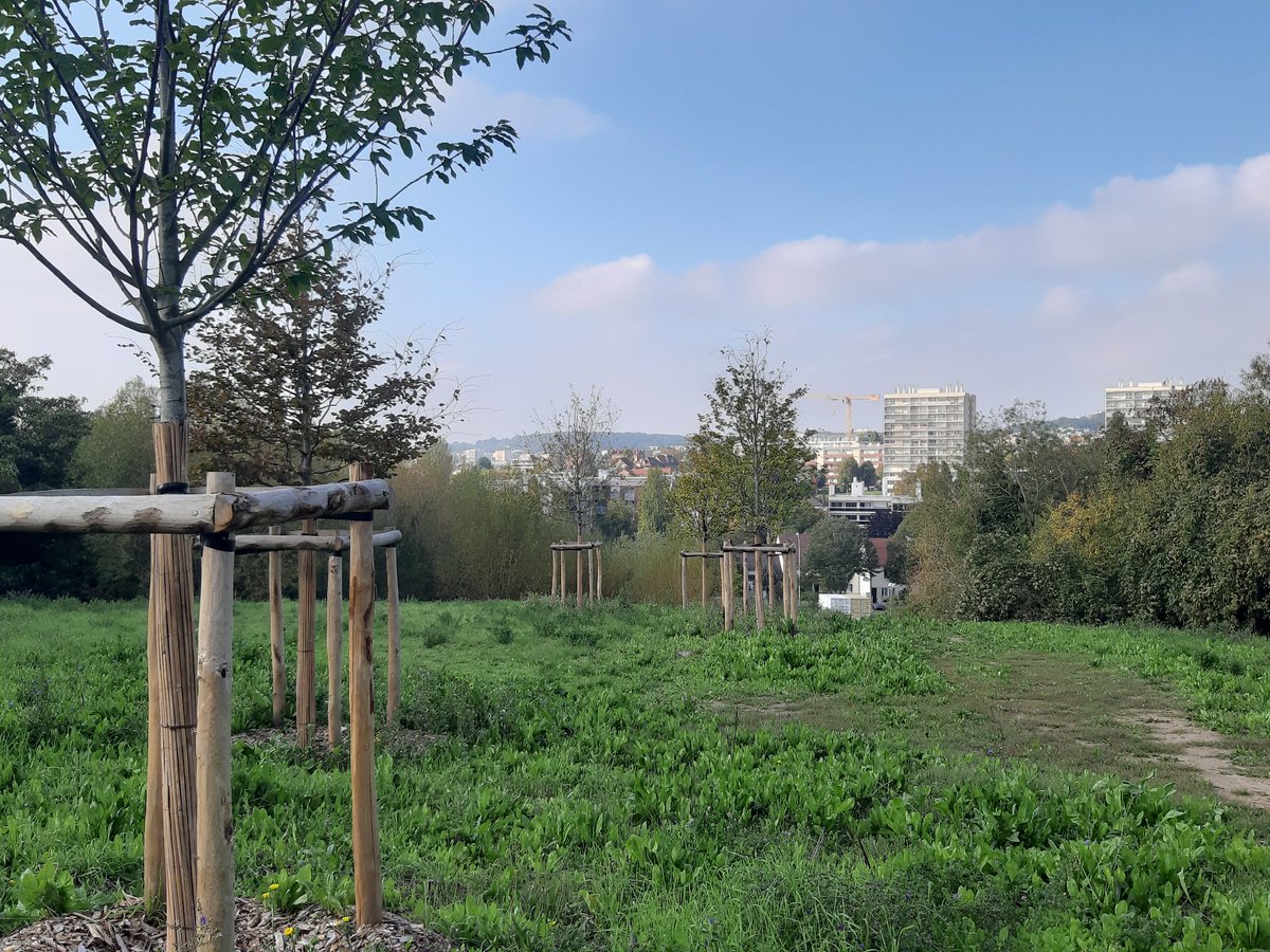 AFleuryGeo's tweet image. #EspacesPublics #GrandParis #Bagneux