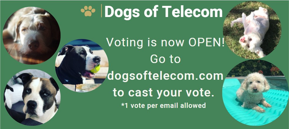 With 85 entries, our channel family loves dogs, be sure to follow this link to vote for a pup for their chance to win a model spot in the 2021 calendar!  dogsoftelecom.com Calendars will go on sale end of November to raise more $ for Humane Society  #Dogsoftelecom #vote