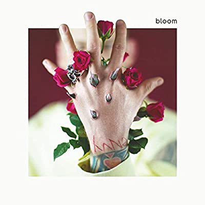 2017 (Bloom era)Memorable songs - Habits - 27- Trap Paris - Rehab Achievements - Best Collaboration on Radio Disney Music AwardsAlbums/ mixtapes - Bloom