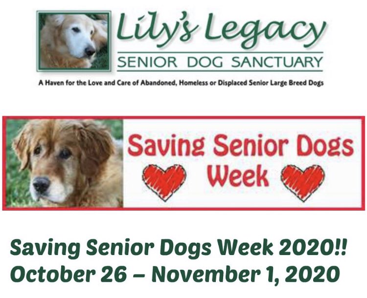 Pawsitive Landing Project (@pawslandingprjt) on Twitter photo 