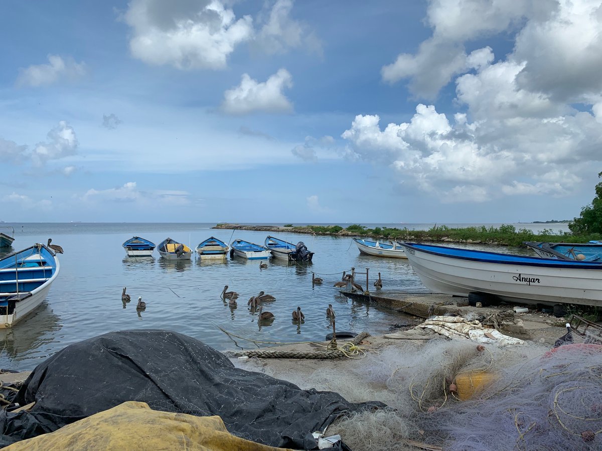 [3] Presently, the  #gulfofparia supports important  #fisheries  Many  #fisherfolk in  #Trinidad harvest  #fish and  #shellfish from the  #gulfofparia The livelihood of these  #fisherfolk are dependent on a healthy marine environment.