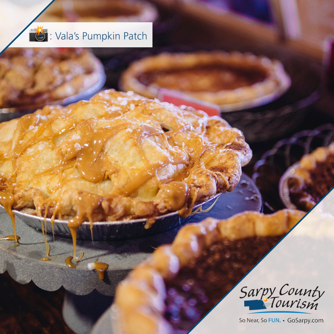 .<a href="/ValasPumkinPtch/">Vala's Pumpkin Patch</a>
🎃 55 acres of pumpkins
😯 400-acre operation
Experience their mazes, indulge in delicious seasonal treats, take home a pumpkin or two AND so much more! Plan your visit today: valaspumpkinpatch.com
#ExploreSarpy #PumpkinPatch