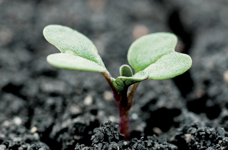 BASFAgSolutions's tweet photo. It’s not too late to help grow your community with one of eight $5000 prizes up for grabs. The Community Challenge from InVigor hybrid canola is still running, but only until October 30. Enter here: https://t.co/jLxJEHDmp7 #InVigorCommunity #InVigor #canola https://t.co/I87BnaxXue