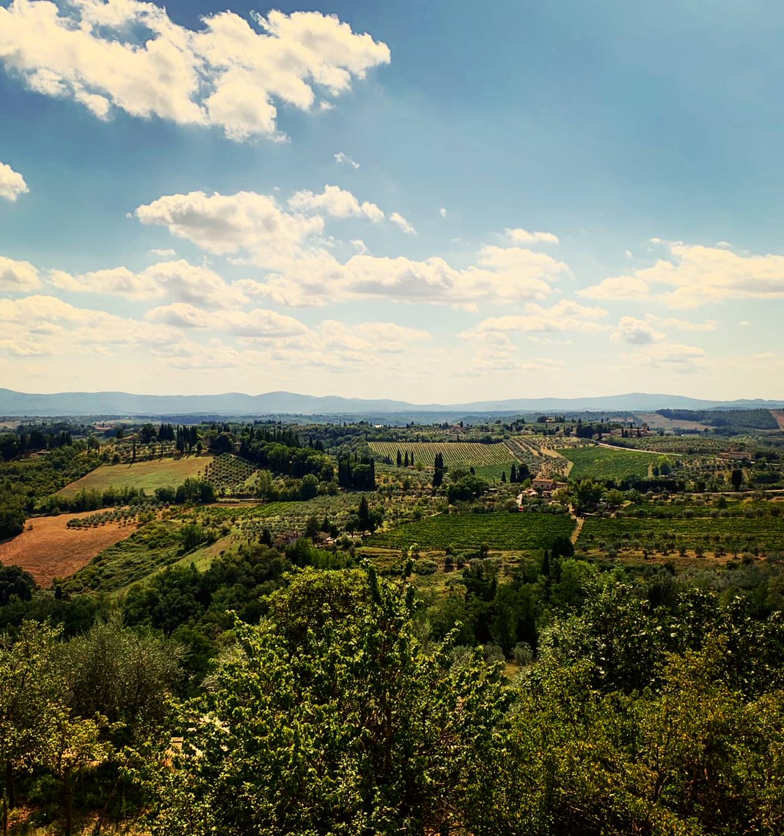 Summer days

#summer #me #troppobello #memories #tuscany #withlove #pensieripositivi #redwine🍷 #ilovemylife #sangimignano #myself #mytravelgram #skyporn