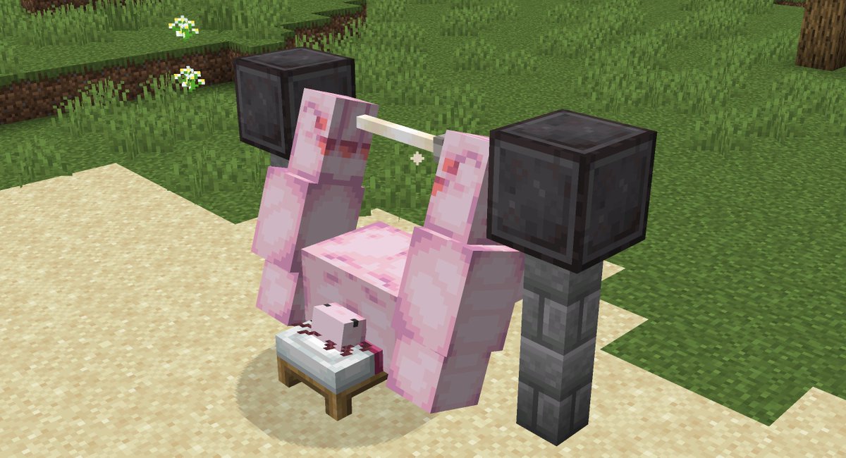Systemzee We Made The Axolotl Super Buff In Minecraft Thanks To Modsully S Permission We Ll Be Releasing The Absolotl As A Mod Soon T Co Fkmsfl01kk T Co Ps40daxxcr
