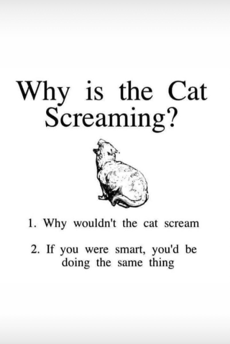 willow_catt's tweet photo. Becuz I cannot hear :) https://t.co/J2XbnoLuD2