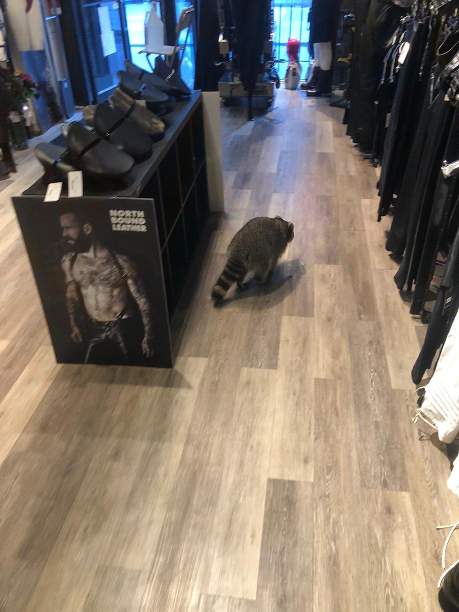 Northbound Leather tweet media