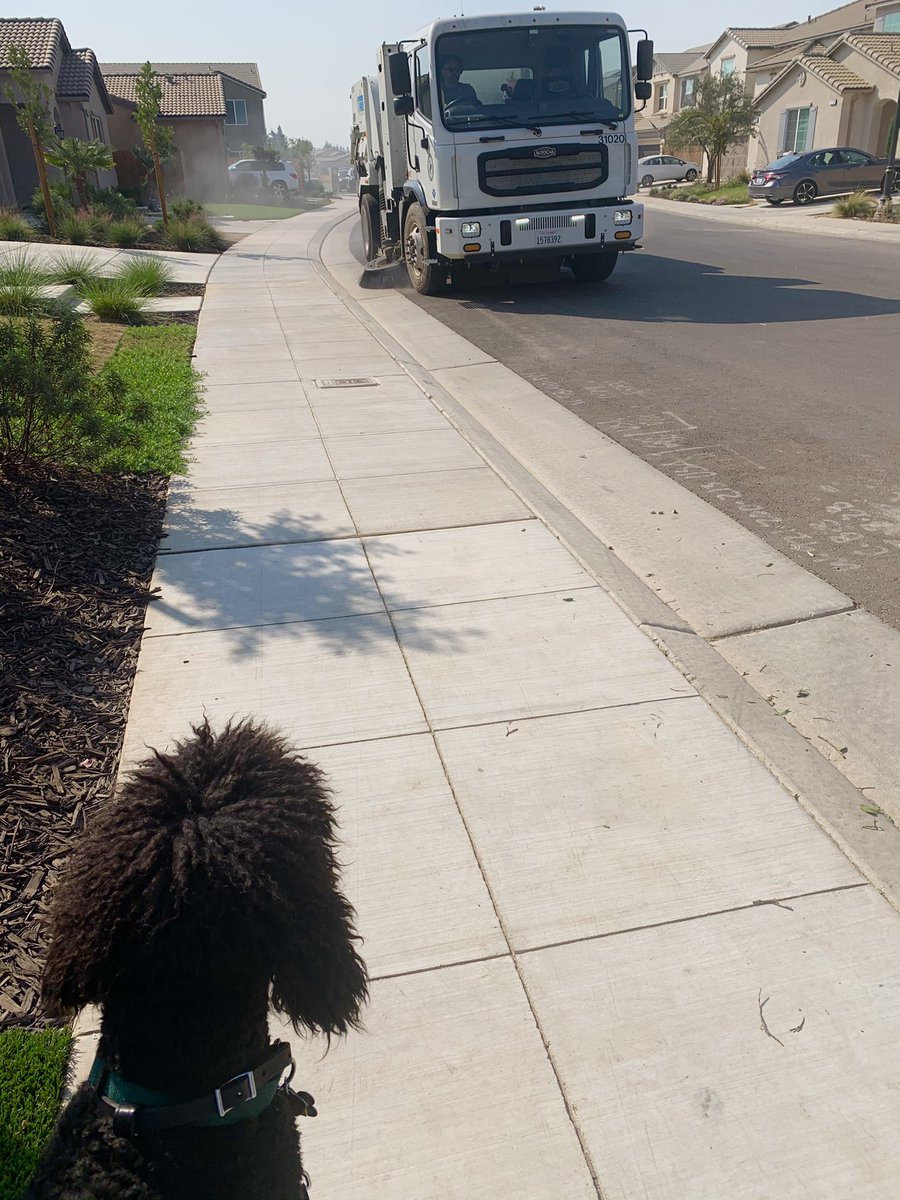 Cynthia20631238's tweet photo. Nick meets the street sweeper. #streetsweeper #servicedogtraining #distractiontraining #lookatthat #scarytruck #assistancedogtraining #loudnoises https://t.co/K40BNPRQjr https://t.co/M3rv4scCTq