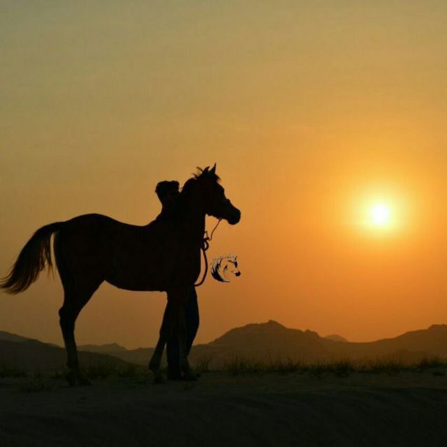 وكلُّ امرىءٍ يولي الجَميلَ مُحَبَّبٌ
وَكُلُّ مَكانٍ يُنْبِتُ العِزَّ طَيّبُ

#المتنبي