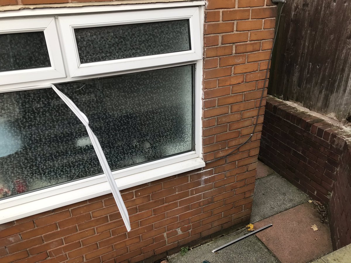 Daniel Meredith 🌹 tweet media