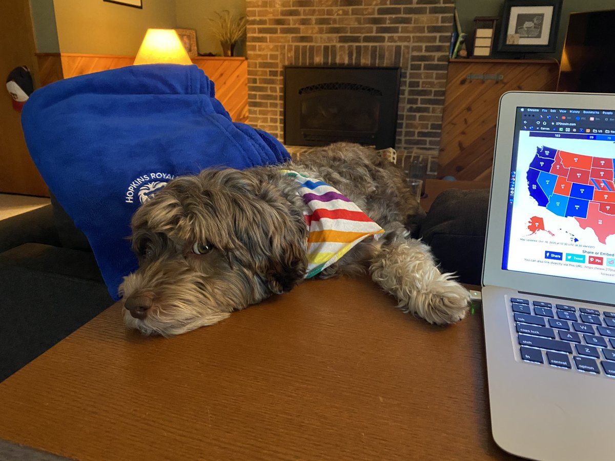 apgovorg's tweet photo. Rigby wanted to help with my Electoral College prediction. https://t.co/FH7nku1dRF