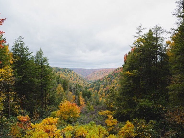 On this lovely day, someone told me I look like David Rose’s wife. I’ll take it.