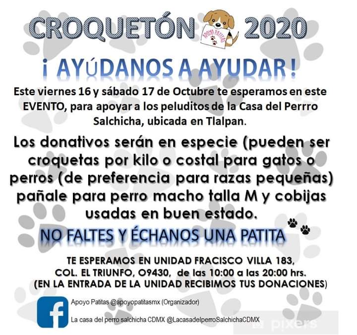 apoyopatitasmx's tweet photo. Hoy inició el CROQUETON en favor de @Lacasadelsalchi los esperamos con su donación de croquetas o cobijas o pañales para perro macho talla M, NO FALTEN!!! LOS ESPERAMOS!!! RT POR FAVOR https://t.co/HSiSAneIPE
