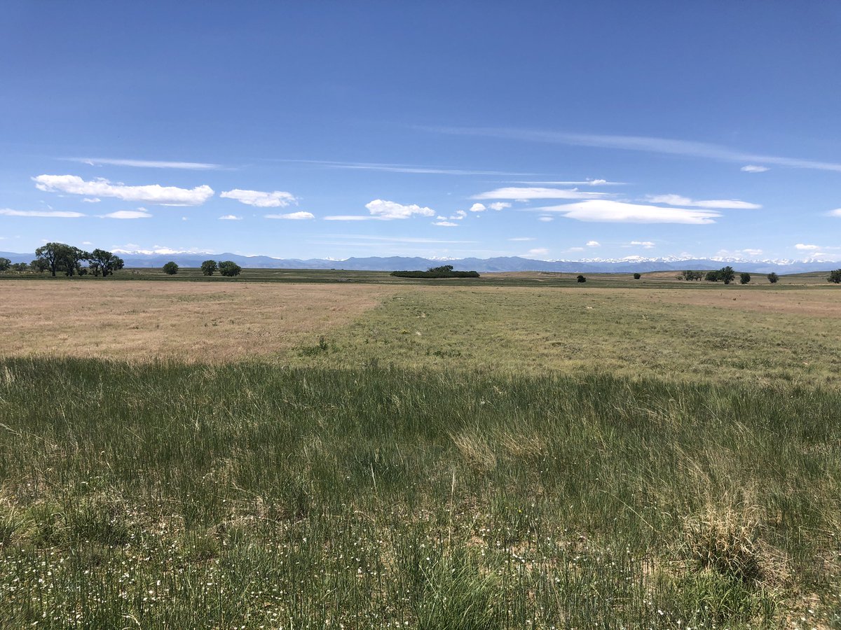 ShannonLClark's tweet photo. Take the tour: See how #Rejuvra can restore and protect your rangeland from invasive annual grasses. https://t.co/Bhj9Vqvbey https://t.co/29remrCJ88
