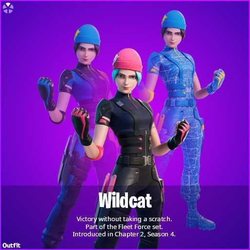 SlayyzzFN's tweet photo. Here's everything in the wild cat bundle,still no word on availability in the us.Sorry @ITalkFortnite lol https://t.co/tPiv8EHXZ4