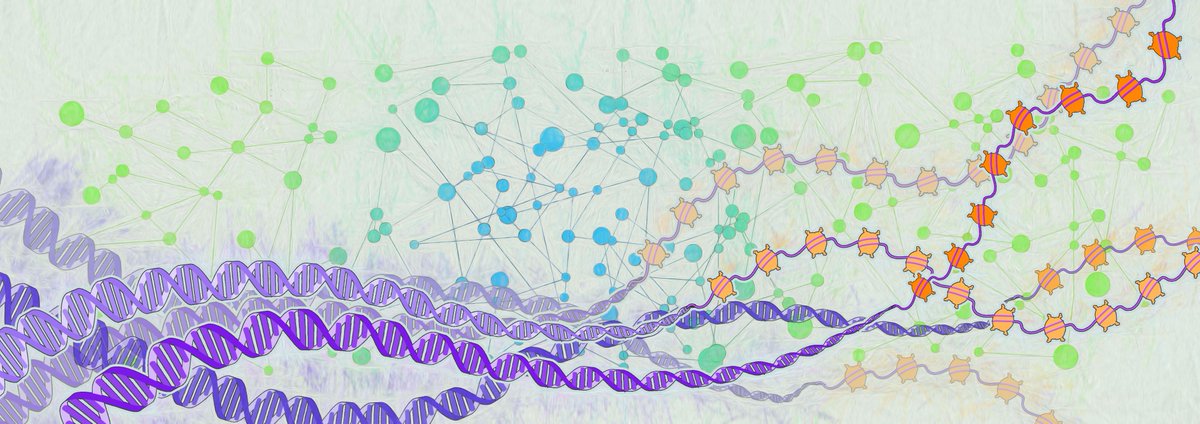 CD_AACR's tweet photo. Loss of #EZH2 reprograms branched-chain amino acid #metabolism to drive leukemic transformation.
@JianXuLab @CRI_UTSW #AACRepmet20
https://t.co/sRw6KAYNza https://t.co/QZqKAIfrAm