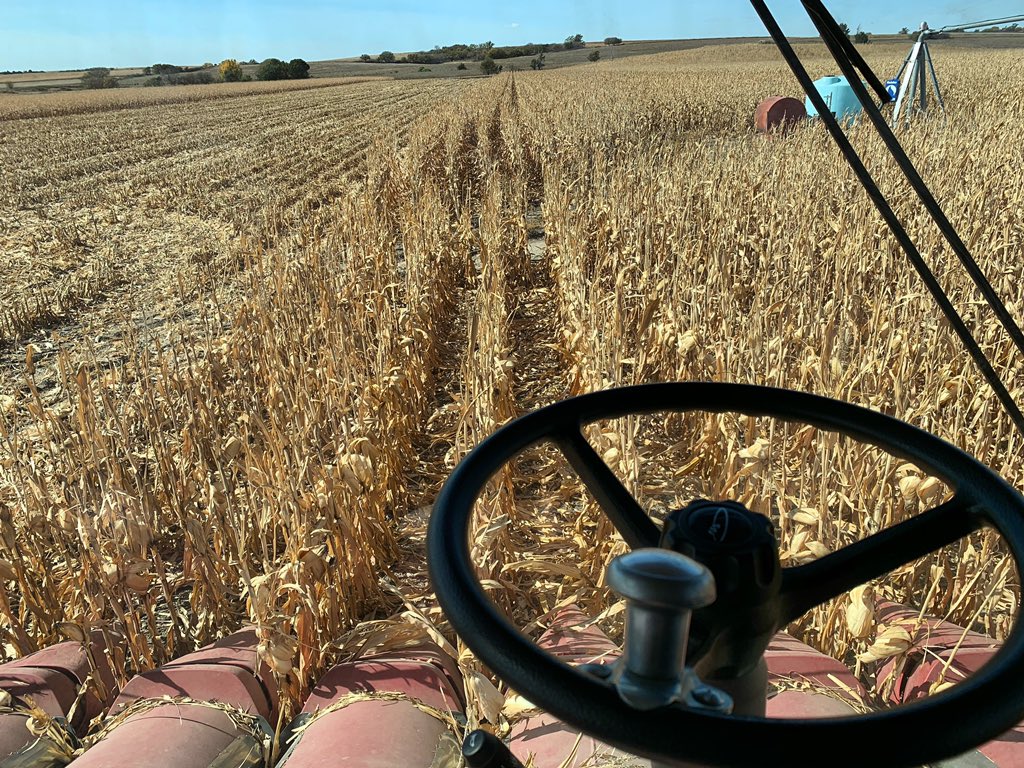 peitzensen's tweet photo. Happy Friday! The C Team is back helping Dad with harvest! Pray for @tc61960 patience! 😂 #christmeieradventures #harvest2020 @APPeitz https://t.co/ujdtX7TTU8