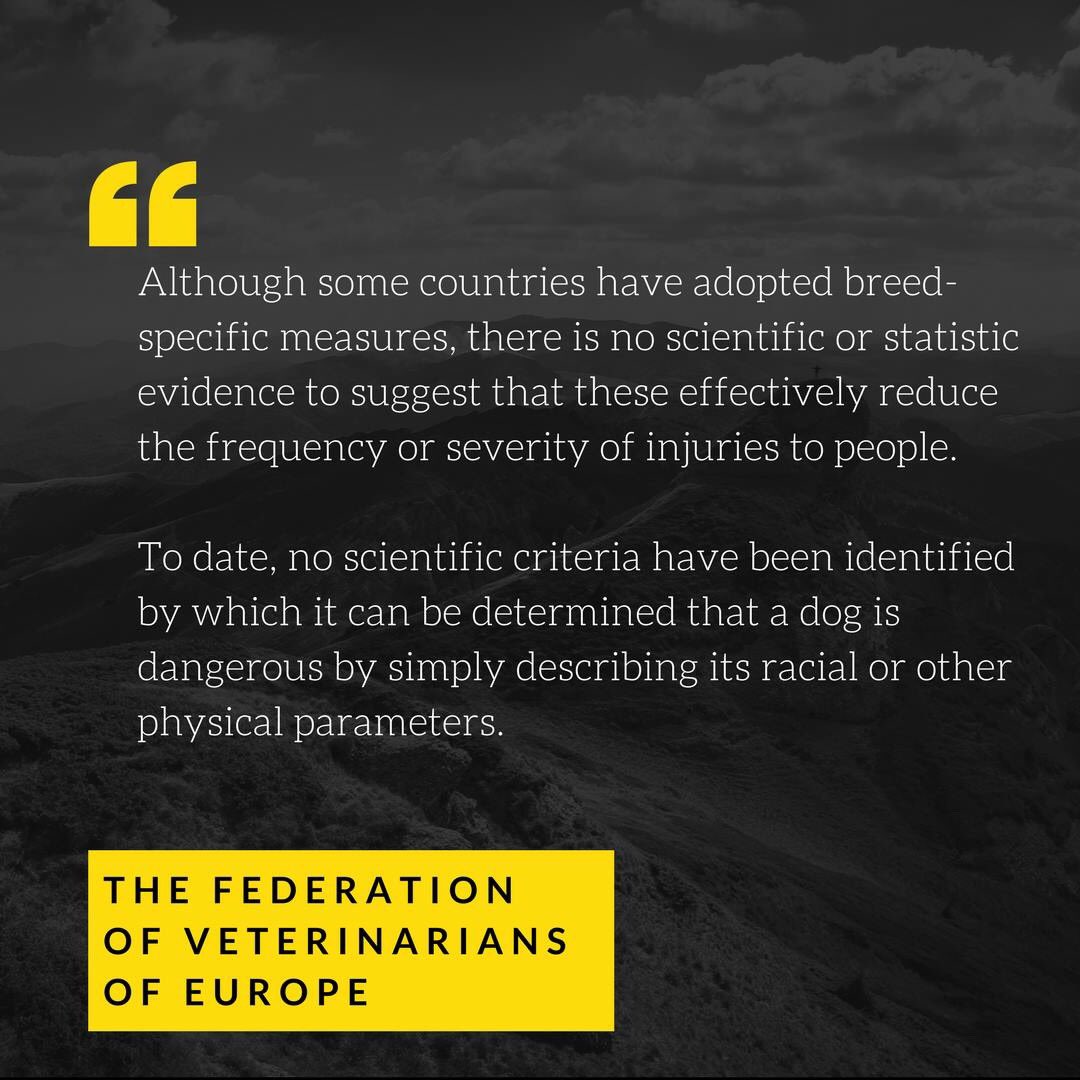 Fayclis's tweet photo. .@fordnation this is from the federation of veterinarians in Europe and they put out the same basic message from vets in the US and #Canada. When will #Bill147 go to committee? #PCPO #FactsOverHype #EndBSL https://t.co/e1ByPvlmh1