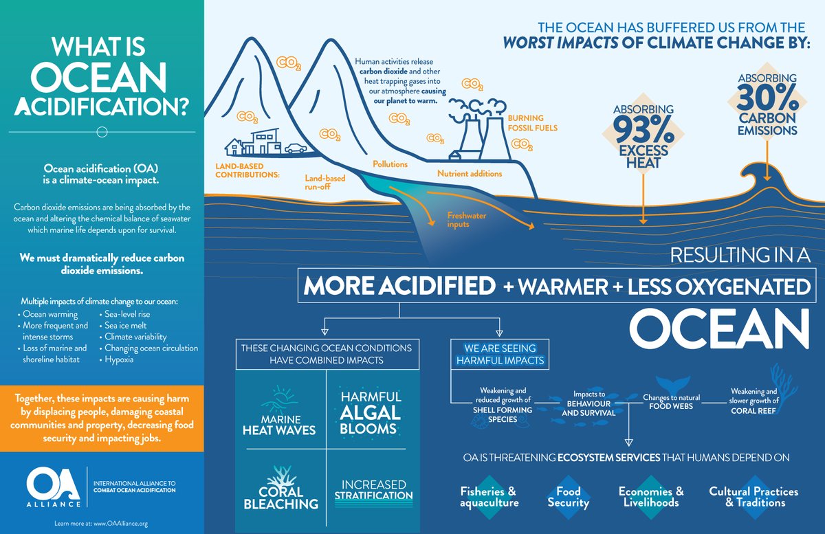 OA_Alliance's tweet photo. On #WorldFoodDay it's important to remember how much of our food &amp; protein comes from the ocean.  We rely on it to sustain us, yet our actions are causing warming, acidification &amp; oxygen loss. Learn about climate-ocean impacts(&amp; solutions) to food security https://t.co/KaOTJIiwwx https://t.co/i9t0s3ZtiH