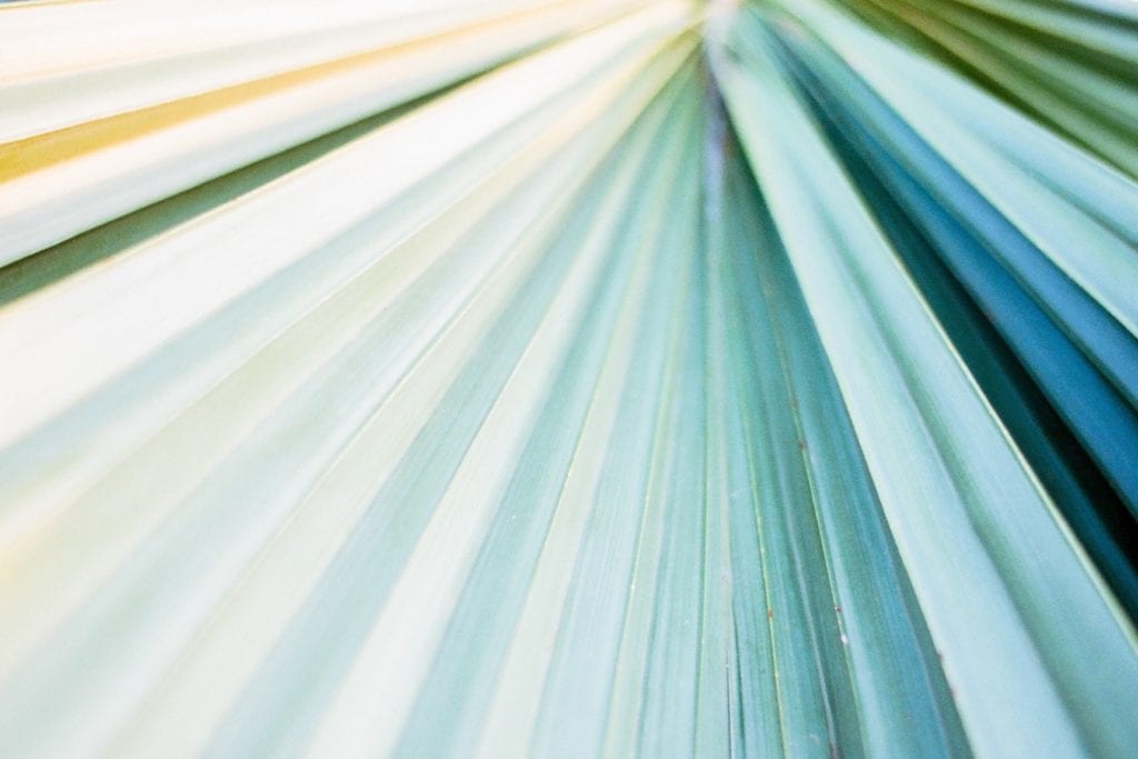 A “simple” RFP – RFP360 article (Trends in RFPs) bit.ly/355S2Nl #rfpadvisory #inhousecounsel #legalrfp