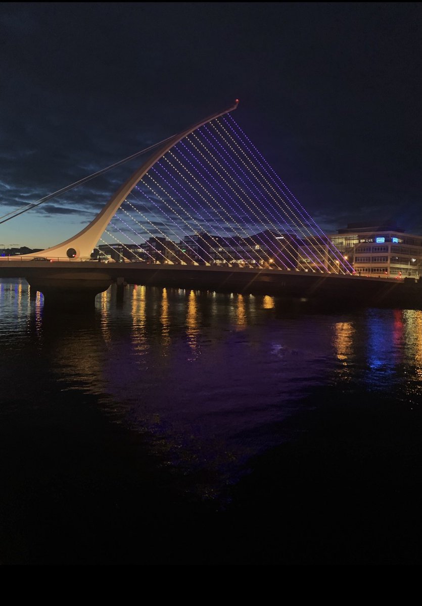 Amazing to see landmarks like the Samuel Beckett Bridge lit up for DLD awareness day💜💛 #DLDSeeMe #DLDAwarenessDay