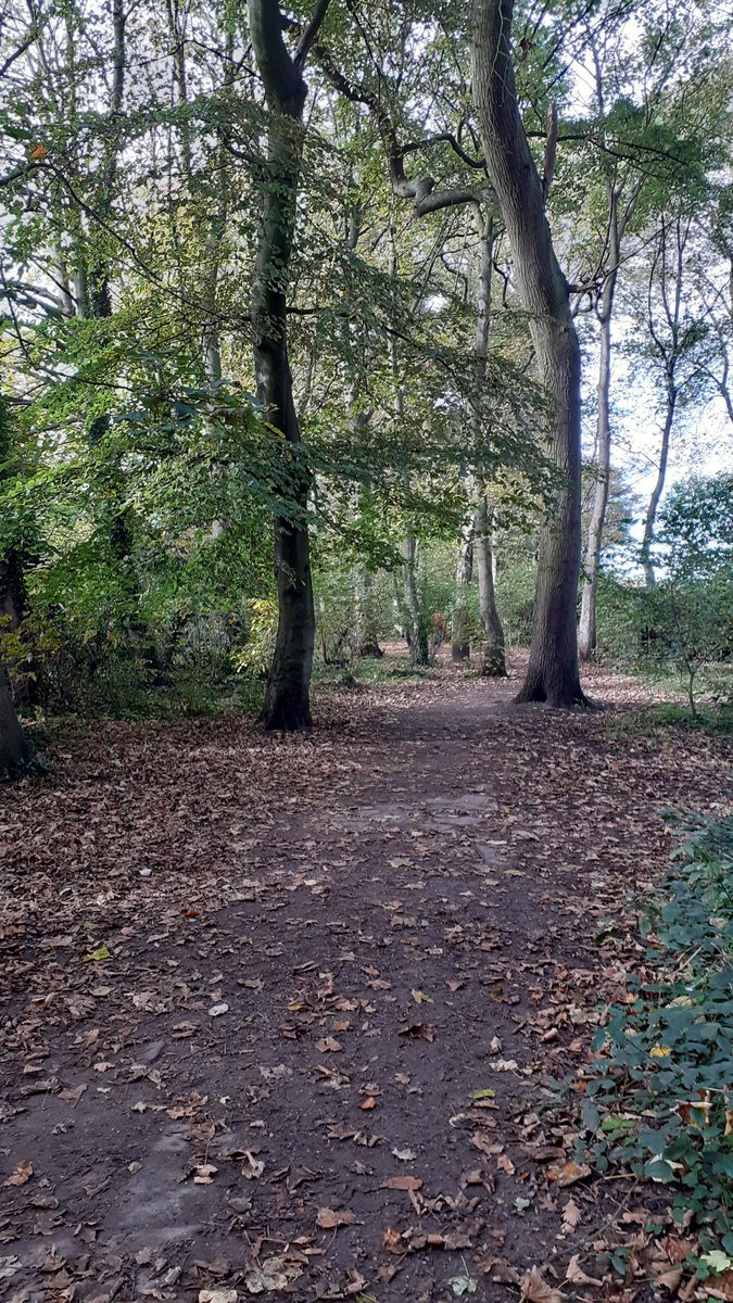 Lytham Green WI tweet media