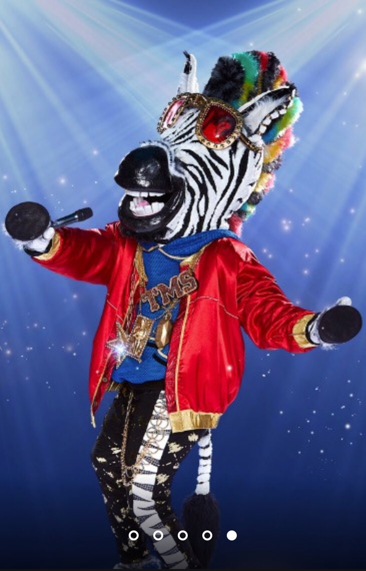 anneslob's tweet photo. Does any off my fellow Dutchies also get a @danielricciardo vibe from this zebra... #MaskedSinger #tosmall #notdutch #butfunny https://t.co/5n3CEDqIwF