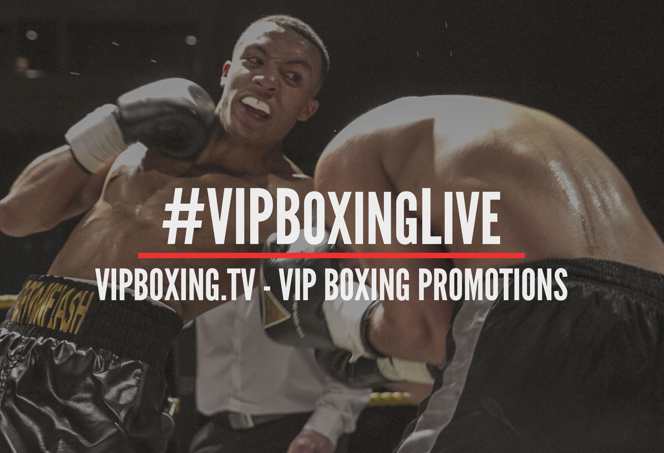 vipboxing tv vipboxingtv twitter
