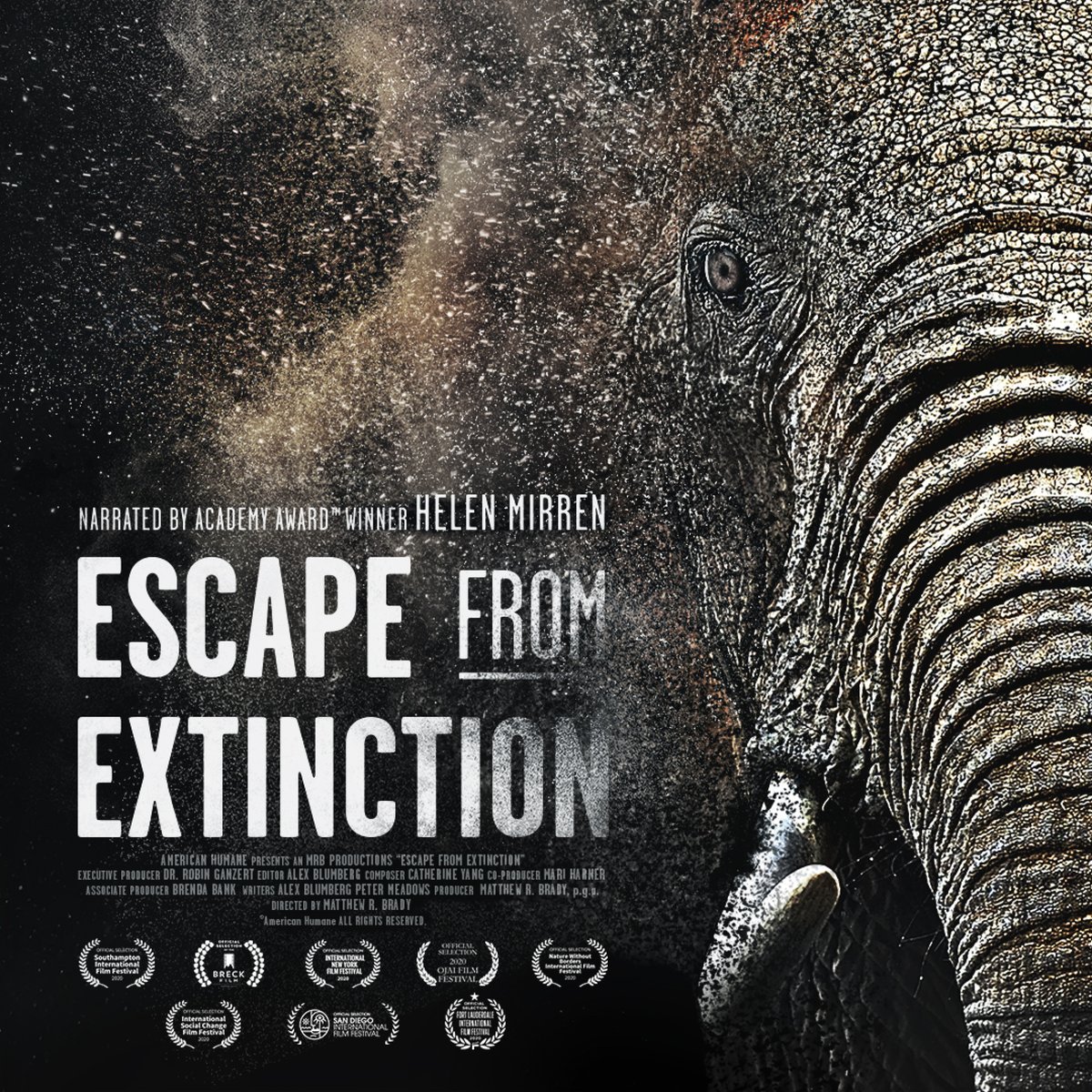 In ESCAPE FROM EXTINCTION, journey around the world for an exclusive look at the animals, inner workings, and efforts of major zoological organizations preserving the rich legacy of life on our planet. Showing at CMX Brickell and CMX Dolphin. #CMXCinemas #EscapefromExtinction