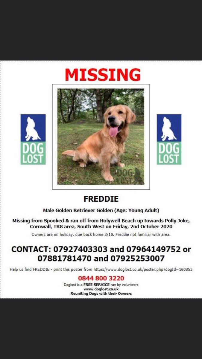 #findfreddie #lostdog #dogsoftwitter please please can everybody retweet this and get his face known everywhere. We need to find Freddie and get him home. Two weeks he’s been missing now, searches are still ongoing.