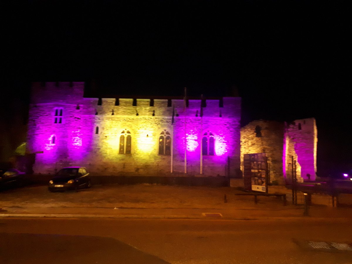 Swords Castle lit up this evening to support #DLDAwarenessDay Delighted to be part of the North County Dublin Speech & Language Service. #DLDSeeMe @iaslt @RADLDcam @Fingalcoco