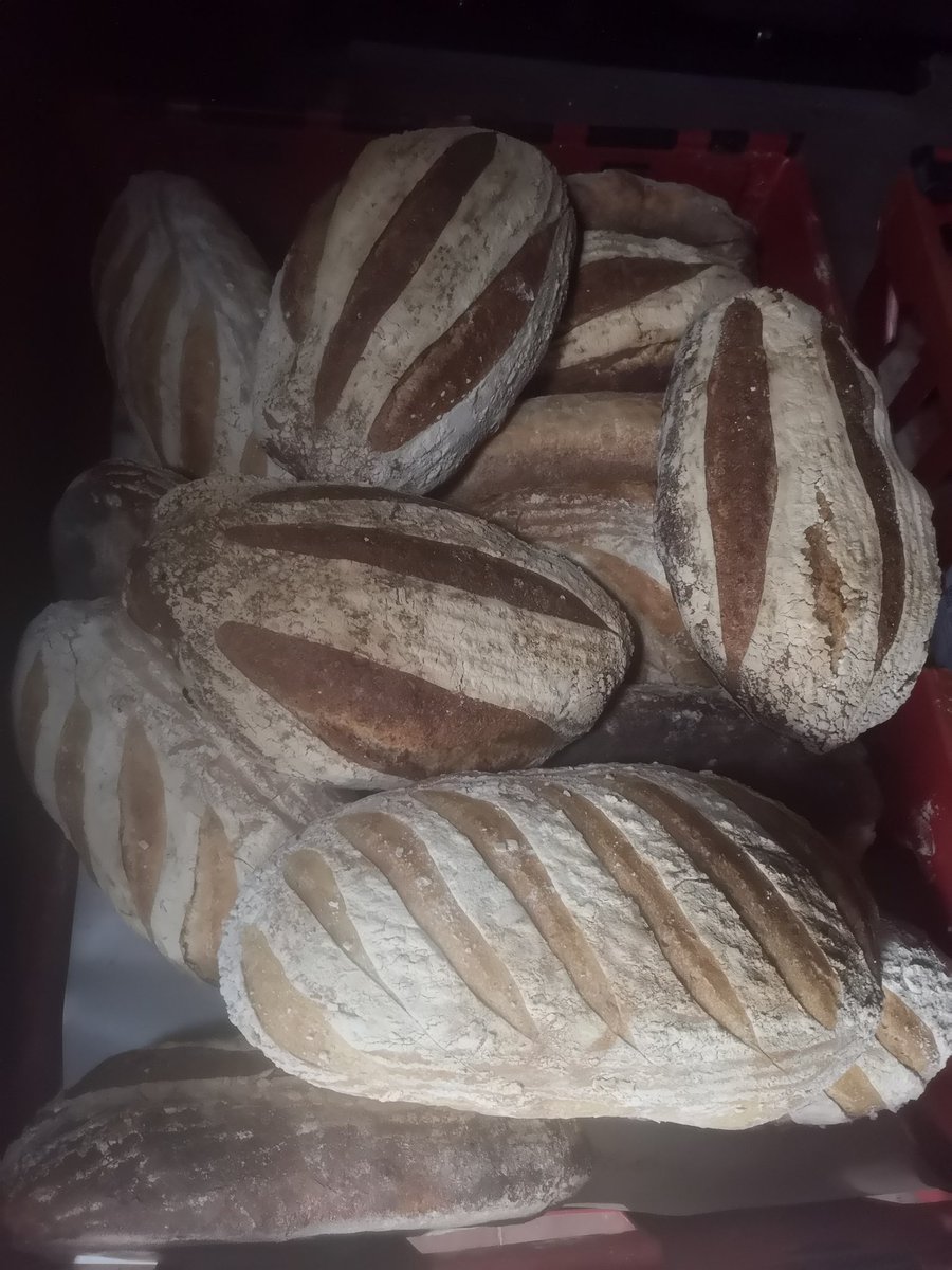 TheWarmley's tweet photo. Hi guys,
We have 2 job openings. Both working nights with me producing bread and pastries. Either 1 full time and 1 part time or 2 part time.
Experience is definitely preferred but training can &amp; will be given
Immediate start
Message or email to apply
#bakery #jobs #bristol #bath https://t.co/DrN9GUiB4I
