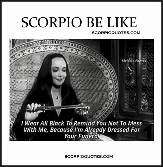 ScorpioSeason's tweet photo. #Scorpio be like: https://t.co/K86ZjkvO4j