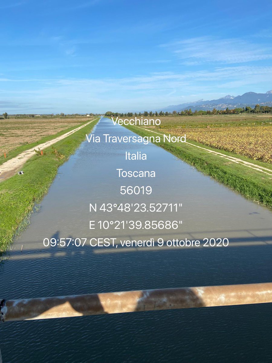 ndelseppia's tweet photo. @phusicos Turbidity measurements in the irrigation channels south of Massaciuccoli's lake https://t.co/nKZjVgLGY9